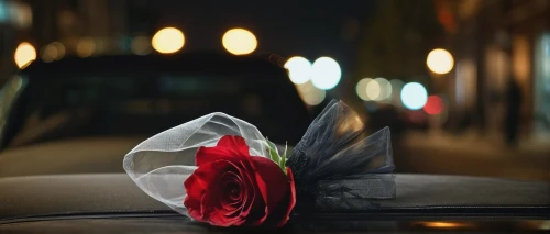 night view of red rose,wedding car,romantic rose,bridal car,boutonniere,wedding photography,romantic look,red rose in rain,passion photography,romantic night,red rose,petal of a rose,valentine flower,paper rose,romantic portrait,romantic scene,bokeh hearts,still life photography,way of the roses,paper flower background,Photography,General,Cinematic
