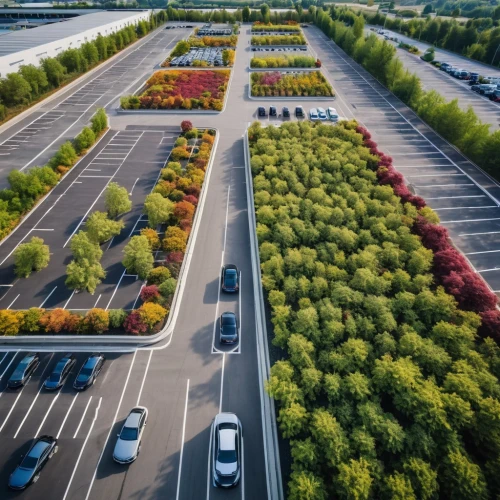 tunnel of plants,plant tunnel,planted car,tree-lined avenue,urban design,inland port,row of trees,city highway,autobahn,smart city,ecoregion,parking system,ecological sustainable development,environmental art,green trees,palma trees,plants under bonnet,urban landscape,lane delimitation,highway roundabout,Photography,General,Realistic