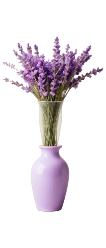 flowers png,flower vases,lavandula,verbena,egyptian lavender,flower vase,french lavender,flower pot holder,lavander products,fernleaf lavender,lavendar,verbena family,senetti,lavender flower,flower bowl,androsace rattling pot,flower pot,lavender flowers,terracotta flower pot,funeral urns,Unique,3D,Toy