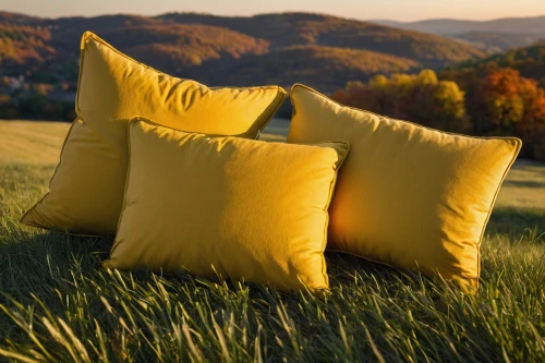 throw pillow,sofa cushions,pillows,cushion,pillow,yellow grass,chair in field,round bales,mountain meadow hay,bed in the cornfield,outdoor sofa,slipcover,soft furniture,blue pillow,straw bales,bales of hay,yellow nutsedge,travel pillow,golden yellow,outdoor furniture,Illustration,Black and White,Black and White 17