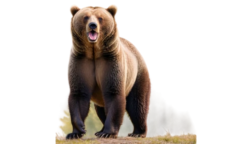 kodiak bear,brown bear,bear,great bear,uintatherium,sun bear,scandia bear,nordic bear,spectacled bear,bear kamchatka,american black bear,eurasier,cute bear,grizzly bear,fila brasileiro,boar,bear bow,capybara,grizzly,cub,Illustration,Realistic Fantasy,Realistic Fantasy 41