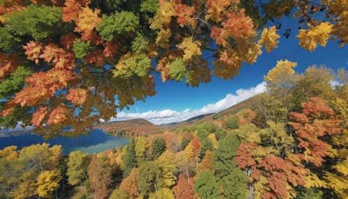 autumn mountains,the trees in the fall,autumn frame,fall foliage,trees in the fall,maple foliage,autumn trees,sky of autumn,fall colors,larch forests,aspen,fall landscape,autumn background,autumn colors,larch trees,autumn foliage,autumn color,autumn sky,autumn scenery,valais,Photography,General,Realistic