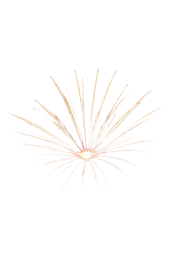 spirography,fireworks rockets,firework,enokitake,fireworks art,missing particle,branched asphodel,flowers png,fireworks background,spiny,matchstick,fireworks,hand draw vector arrows,last particle,spines,generated,purple salsify,feather bristle grass,stamen,pentecost carnation,Illustration,Paper based,Paper Based 14