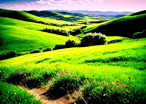 rolling hills,green landscape,the hills,hills,landscapes beautiful,landscape background,beautiful landscape,landscape nature,meadow landscape,nature landscape,northern california,aaa,green fields,hiking path,tuscany,background view nature,landscape photography,green meadow,grasslands,natural landscape,Photography,Black and white photography,Black and White Photography 08