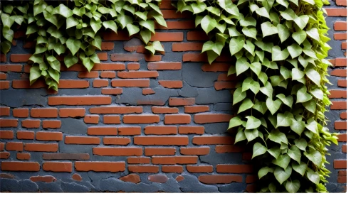 wall,brick background,brick wall background,wall of bricks,wall texture,brickwall,brickwork,red brick wall,sand-lime brick,brick wall,intensely green hornbeam wallpaper,background ivy,old wall,house wall,ivy frame,mud wall,red bricks,yellow brick wall,wooden wall,cement wall,Conceptual Art,Fantasy,Fantasy 15