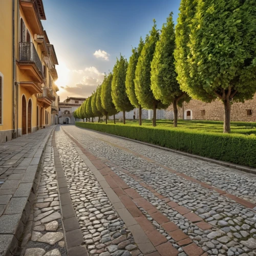 the cobbled streets,townhouses,tree-lined avenue,tree lined lane,tree lined path,cobblestones,paved square,antigua guatemala,blocks of houses,row of houses,cobbles,palma trees,paving slabs,zona colonial,old linden alley,tree lined,paving stones,medieval street,cobblestone,townscape