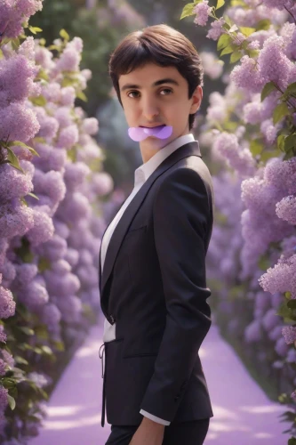 la violetta,lavander,purple rizantém,flowered tie,lavendar,florist gayfeather,girl in flowers,the lavender flower,lavander products,grape pergel,birce akalay,real estate agent,verbena,petunias,iranian,lavender,purple background,jacaranda,iranian nowruz,flower background,Photography,Commercial