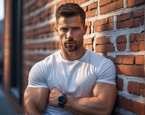 male model,man portraits,arms,danila bagrov,portrait background,brick wall background,austin stirling,shoulder length,ryan navion,male person,muscle icon,fitness professional,fitness coach,management of hair loss,brick background,portrait photography,man on a bench,male poses for drawing,lukas 2,cotton top,Photography,General,Sci-Fi