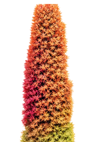 felt christmas trees,amaranth family,wheat celosia,feather coral,christmastree worms,cardstock tree,amaranth,cones,amaranth grain,cone,wooden christmas trees,fir tree decorations,knitted christmas background,blood amaranth,seasonal tree,colored crayon,conifer cone,conifer cones,japanese kuchenbaum,spruce cones,Conceptual Art,Daily,Daily 02