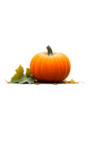 calabaza,halloween pumpkin gifts,candy pumpkin,halloween pumpkin,halloween vector character,pumpkin autumn,halloween background,pumpkin soup,decorative pumpkins,pumpkin,pumkin,white pumpkin,jack-o'-lantern,autumn pumpkins,hokkaido pumpkin,cucurbit,jack o'lantern,cucurbita,jack o lantern,pumpkin lantern,Illustration,Paper based,Paper Based 14