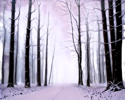 winter forest,winter background,winter landscape,snow landscape,snow scene,snowy landscape,snow trees,winter dream,the purple-and-white,christmas landscape,wintry,christmas snowy background,winter wonderland,fir forest,black forest,forest landscape,the snow falls,night snow,enchanted forest,snow trail,Art,Classical Oil Painting,Classical Oil Painting 05