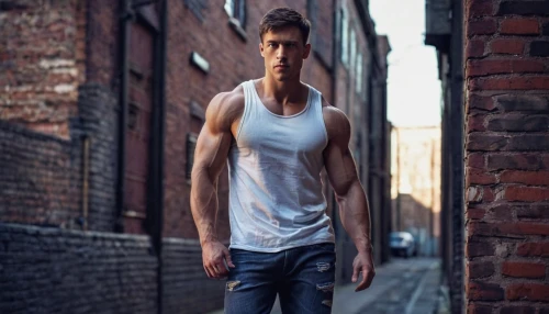 male model,austin stirling,cotton top,sleeveless shirt,tall man,austin morris,undershirt,men's wear,lincoln blackwood,alleyway,george russell,jack rose,james handley,danila bagrov,alley,boy model,alex andersee,muscles,arms,muscle angle,Art,Artistic Painting,Artistic Painting 50