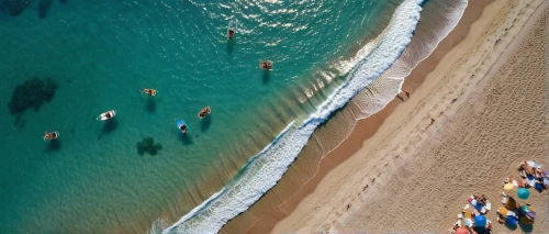 aerial view of beach,people on beach,beach goers,surfers,summer beach umbrellas,the people in the sea,bondi beach,drone image,drone shot,busan sea,drone view,kawaii people swimming,swimmers,people fishing,swimming people,beautiful beaches,the pictures of the drone,open water swimming,greens beach,drone photo,Photography,General,Realistic