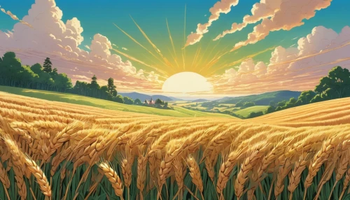 wheat field,wheat fields,barley field,wheat crops,straw field,field of cereals,grain field,cornfield,yamada's rice fields,wheat,ricefield,corn field,strand of wheat,rice field,strands of wheat,wheat grain,farm landscape,seed wheat,sun,rural landscape,Illustration,Japanese style,Japanese Style 07