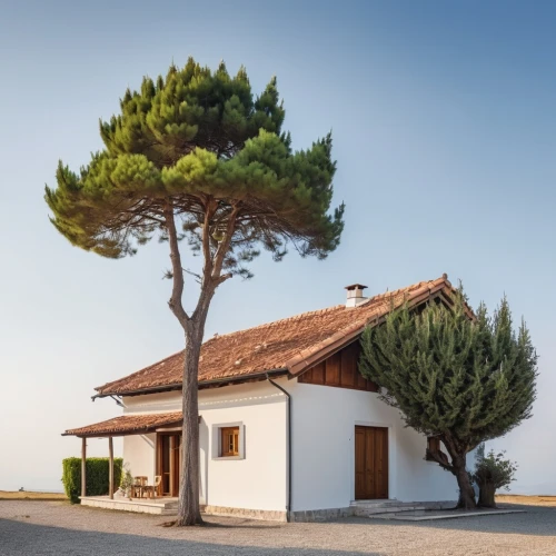 puglia,dunes house,provencal life,apulia,inverted cottage,holiday home,small house,roof landscape,olive tree,pine tree,pine-tree,holiday villa,house with caryatids,timber house,house for rent,canarian dragon tree,traditional house,private house,residential house,house roofs