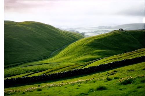 derbyshire,peak district,rolling hills,green landscape,yorkshire,green fields,hills,landscape photography,hillsides,landform,grassland,yorkshire dales,landscape background,grasslands,mountain pasture,the hills,landscapes beautiful,beautiful landscape,glen of the downs,ireland,Illustration,Black and White,Black and White 29