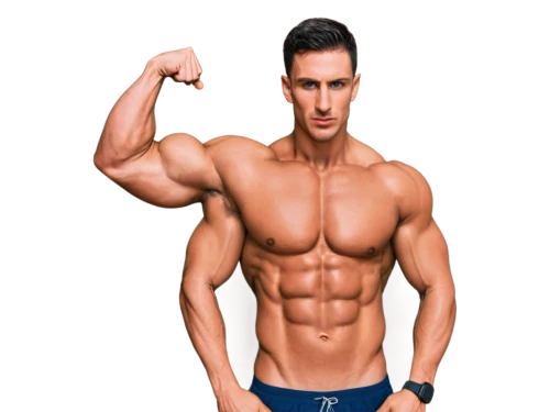 bodybuilding supplement,body building,muscle icon,bodybuilder,bodybuilding,muscle angle,male model,upper body,fitness and figure competition,body-building,anabolic,muscular,biceps curl,muscle man,zurich shredded,buy crazy bulk,crazy bulk,triceps,fitness model,muscle,Art,Artistic Painting,Artistic Painting 28