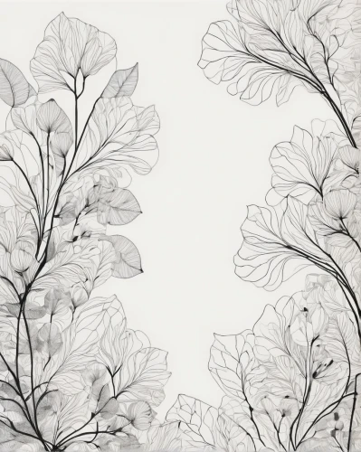 botanical print,watercolor leaves,botanical line art,chrysanthemum background,floral digital background,leaf drawing,floral pattern paper,white floral background,japanese floral background,oak leaves,spring leaf background,tree leaves,floral border paper,flowers png,birch tree illustration,beech leaves,embroidered leaves,paper flower background,autumn leaf paper,damask paper,Photography,Black and white photography,Black and White Photography 02