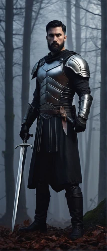 knight armor,crusader,mercenary,castleguard,dwarf sundheim,medieval,roman soldier,massively multiplayer online role-playing game,twitch icon,aa,swordsman,centurion,armored,wall,heavy armour,samurai,the warrior,dane axe,paladin,gladiator,Illustration,Realistic Fantasy,Realistic Fantasy 11