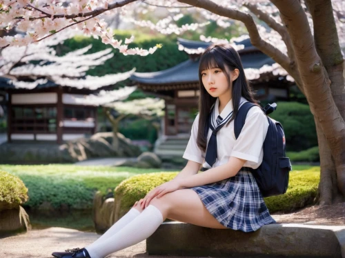 azusa nakano k-on,schoolgirl,anime japanese clothing,japanese idol,school skirt,japanese kawaii,japanese sakura background,sakura background,kawaii girl,school uniform,sakura,torii,gravure idol,sitting on a chair,japanese background,hinata,maimi fl,kantai collection sailor,japanese woman,aomoriya,Illustration,Vector,Vector 20