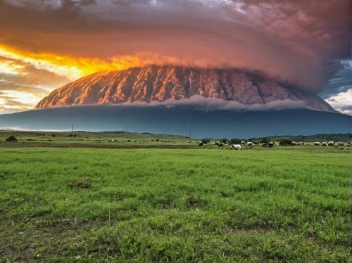 mount kilimanjaro,calbuco volcano,south africa,kilimanjaro,shield volcano,swelling cloud,active volcano,a thunderstorm cell,mother earth squeezes a bun,volcanic eruption,volcanic landscape,zimbabwe,volcano,the volcano avachinsky,cloud mountain,stratovolcano,mushroom cloud,natural phenomenon,the volcano,eruption,Photography,General,Realistic