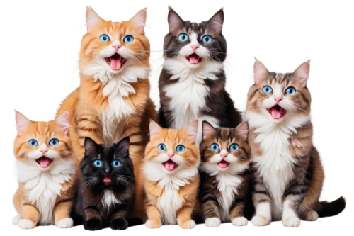 cat family,pet vitamins & supplements,ginger family,breed cat,cat image,shetland sheepdog tricolour,american wirehair,cats,kittens,felines,cat lovers,turkish van,family portrait,funny cat,baby cats,meowing,cartoon cat,cat cartoon,cat supply,pet adoption,Art,Classical Oil Painting,Classical Oil Painting 26