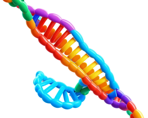 dna helix,dna strand,dna,nucleotide,rna,genetic code,deoxyribonucleic acid,double helix,isolated product image,the structure of the,chromosomes,trisomy,biological,cell structure,helical,limicoles,biosamples icon,membrane,pcr test,mutation,Illustration,Japanese style,Japanese Style 02