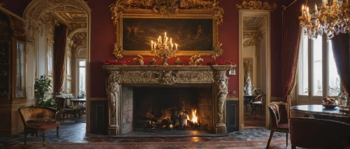 fontainebleau,royal interior,fireplaces,fire place,fireplace,château de chambord,ornate room,rococo,villa cortine palace,highclere castle,versailles,baroque,chateau margaux,danish room,sitting room,interior decor,chambord,stately home,villa d'este,villa balbianello,Photography,General,Fantasy