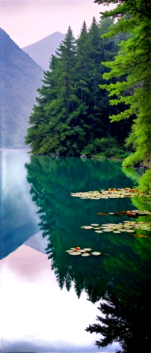reflection in water,mountainlake,calm water,high mountain lake,water reflection,mountain lake,lake tanuki,reflections in water,alpine lake,beautiful lake,mirror water,water mirror,reflection of the surface of the water,lake,calm waters,waterscape,loch,reflections,water scape,loch drunkie,Photography,Fashion Photography,Fashion Photography 11