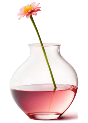 flowering tea,glass vase,fragrance teapot,flower vase,vase,flower tea,rose hip oil,flower vases,parfum,chrysanthemum tea,ikebana,glass jar,blooming tea,glass container,flower essences,glasswares,flowers png,tea glass,rose water,perfume bottle,Illustration,Realistic Fantasy,Realistic Fantasy 17