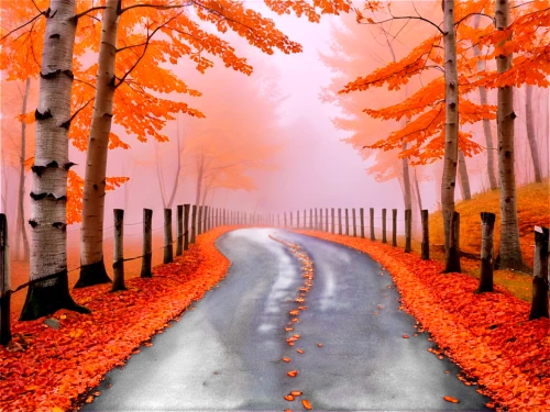 autumn landscape,autumn background,autumn scenery,fall landscape,tree lined lane,autumn fog,maple road,autumn forest,oil painting on canvas,forest road,the autumn,autumn walk,autumn idyll,autumn theme,art painting,landscape red,autumn leaves,autumn day,autumn,autumn trees,Photography,Artistic Photography,Artistic Photography 09