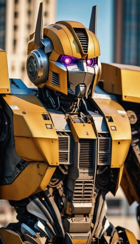 bumblebee,transformers,kryptarum-the bumble bee,decepticon,transformer,bumble bee,bumblebees,bumblebee fly,bumble-bee,stud yellow,prowl,megatron,dewalt,gold and purple,heath-the bumble bee,purple and gold,minibot,tau,bumble,road roller,Photography,General,Realistic