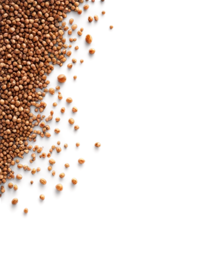 amaranth grain,fregula,coffee grains,lentils,grains,cereal grain,psyllium seed husks,mung bean,sorghum,freekeh,mustard seeds,cowpea,seed wheat,buckwheat,mung beans,rice seeds,buckwheat flour,flax seed,soybean oil,coriander,Conceptual Art,Sci-Fi,Sci-Fi 21