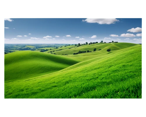 green landscape,landscape background,monferrato,tuscan,rolling hills,campagna,tuscany,piemonte,panoramic landscape,view panorama landscape,green fields,landscape photography,grassland,landform,grasslands,meadow landscape,green background,volterra,natural landscape,background view nature,Photography,General,Commercial