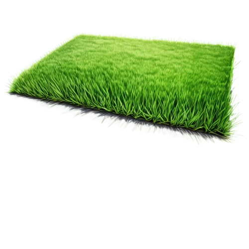 artificial grass,artificial turf,block of grass,turf roof,grass roof,grass wipe,green lawn,dad grass,grass blades,grass,turf,lawn,wheat germ grass,quail grass,halm of grass,green grass,golf lawn,grass grasses,brick grass,cleanup,Illustration,Black and White,Black and White 35