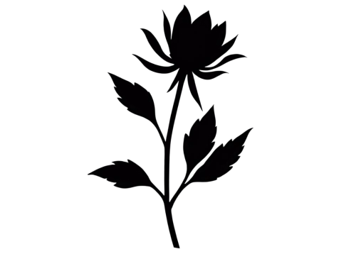 datura,veratrum,black salsify,rose leaf,ironweed,four-leaf,black rose hip,retro flower silhouette,lotus leaf,minimalist flowers,motherwort,greater burdock,fig leaf,lotus png,mugwort,spear thistle,black hellebore,laurel wreath,black rose,trifolium,Unique,Paper Cuts,Paper Cuts 10