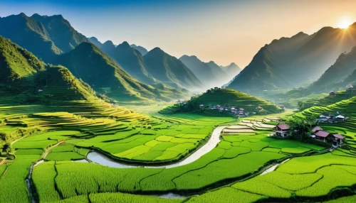 rice fields,rice terrace,rice paddies,vietnam,green landscape,rice field,ricefield,the rice field,mountainous landscape,vietnam's,ha giang,guizhou,rice terraces,guilin,mountain landscape,vegetables landscape,landscape background,viet nam,beautiful landscape,green fields,Photography,General,Realistic