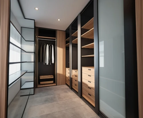 walk-in closet,room divider,luxury bathroom,hallway space,modern minimalist bathroom,bathroom cabinet,dark cabinetry,interior modern design,modern room,hinged doors,cabinetry,modern decor,storage cabinet,sliding door,dark cabinets,interior design,search interior solutions,3d rendering,cupboard,one-room,Photography,General,Realistic