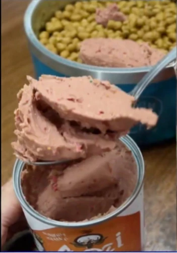 refried beans,chocolate ice cream,pâté,chocolate spread,ice cream chocolate,variety of ice cream,frozen dessert,ice cream bar,taramasalata,nutella,mousse,zombie ice cream,whipped ice cream,chocolate mousse,milk ice cream,surströmming,dulce de leche,soy ice cream,soft ice cream cups,dip