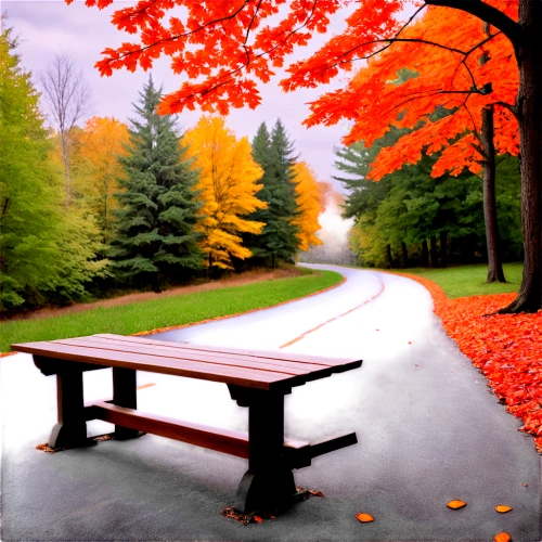 autumn background,autumn landscape,red bench,fall landscape,park bench,wooden bench,autumn scenery,picnic table,bench,autumn in the park,outdoor bench,outdoor table,autumn idyll,the autumn,maple road,autumn park,autumn theme,benches,landscape background,autumn frame,Photography,Documentary Photography,Documentary Photography 29