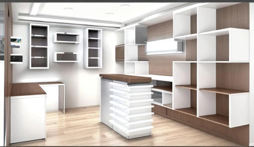 walk-in closet,bookshelves,bookcase,shelving,search interior solutions,shelves,cabinetry,storage cabinet,bookshelf,room divider,pantry,under-cabinet lighting,cabinets,3d rendering,cupboard,shoe cabinet,modern room,armoire,hallway space,interior modern design,Design Sketch,Design Sketch,None