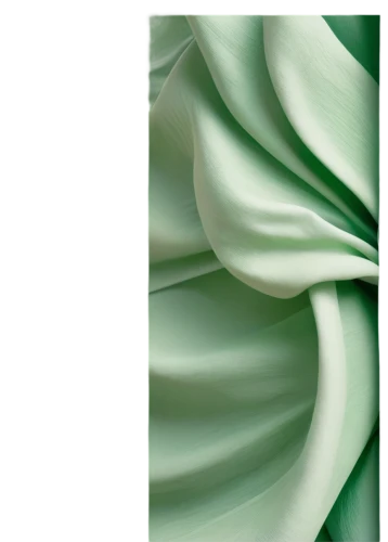 green folded paper,spring leaf background,cleanup,mouldings,malachite,magnolia leaf,flowers png,green border,green wallpaper,gardenia,chlorophyll,green and white,vintage anise green background,green background,cape jasmine,tropical leaf pattern,tulip background,tropical leaf,green leaf,crème de menthe,Photography,Fashion Photography,Fashion Photography 13