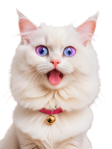 funny cat,birman,cute cat,white cat,cat image,cat vector,turkish van,ragdoll,cat,cat tongue,turkish angora,cat kawaii,cartoon cat,blue eyes cat,cat face,cat with blue eyes,breed cat,cat nose,meowing,scottish fold,Photography,Fashion Photography,Fashion Photography 13