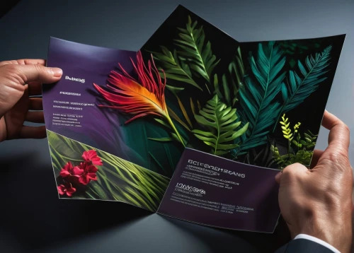 brochures,brochure,annual report,inkjet printing,offset printing,air new zealand,photographic paper,bird-of-paradise,tropical floral background,booklet,page dividers,art flyer,bromelia,botanical print,herbarium,floral mockup,commercial packaging,paper product,card thistle,bird of paradise flower,Photography,Artistic Photography,Artistic Photography 02
