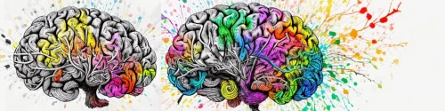 cognitive psychology,emotional intelligence,colorful foil background,human brain,brain icon,mindmap,rainbow pencil background,brain,magnetic resonance imaging,brain structure,coloring for adults,psychedelic art,neurons,brainstorm,brain storming,computational thinking,cerebrum,medical imaging,dopamine,neural pathways
