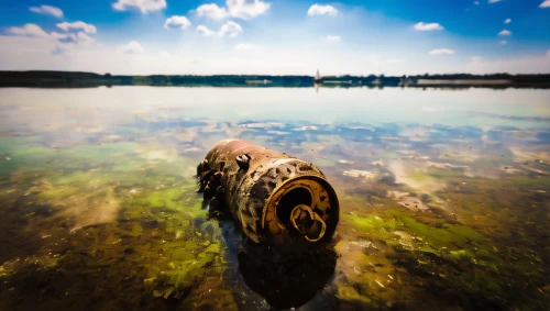 feather on water,floating over lake,stone balancing,mooring post,perched on a log,fish eye,earth in focus,water snake,duck on the water,ripples,lens reflection,tree stump,canim lake,ammonite,lake,totem,dock on beeds lake,depth of field,pond turtle,reflection in water