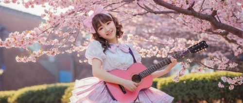 cherry blossom,takato cherry blossoms,sakura blossom,cherry blossoms,guitar,japanese sakura background,the cherry blossoms,pink cherry blossom,sakura background,playing the guitar,cold cherry blossoms,sakura flower,guitarist,sakura blossoms,concert guitar,guitar player,japanese idol,cheery-blossom,cherry blossom festival,sakura flowers,Art,Classical Oil Painting,Classical Oil Painting 14