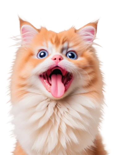 funny cat,cat tongue,cat vector,red tabby,cat image,cute cat,cat,red whiskered bulbull,meowing,american bobtail,cartoon cat,turkish van,ginger cat,breed cat,cat nose,cat face,british longhair cat,cat cartoon,pink cat,emogi,Conceptual Art,Oil color,Oil Color 03