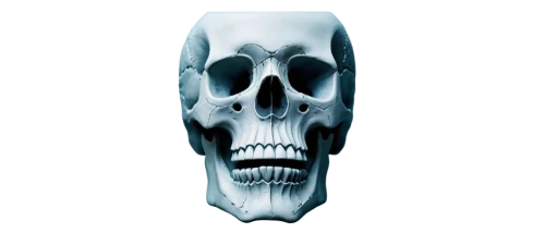 scull,skull illustration,skull statue,skull sculpture,skull,skull bones,skeleton,skull mask,skull drawing,human skull,store icon,skulls bones,skeletal,png image,skulls,x-ray of the jaw,calavera,fetus skull,png transparent,animal skull,Illustration,Realistic Fantasy,Realistic Fantasy 27