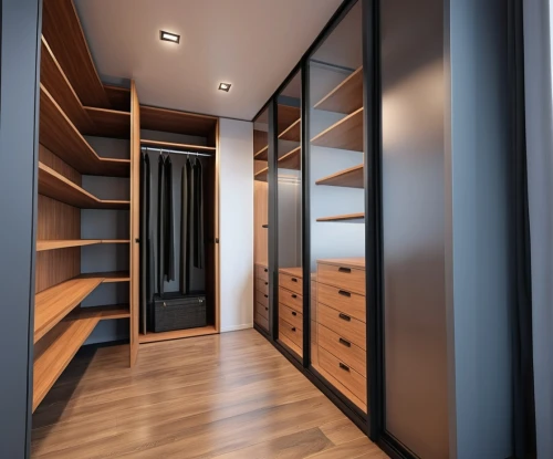 walk-in closet,hallway space,storage cabinet,room divider,dark cabinetry,cabinetry,cupboard,cabinets,shelving,modern room,armoire,drawers,bookshelves,bookcase,dark cabinets,closet,pantry,under-cabinet lighting,hinged doors,sliding door,Photography,General,Realistic